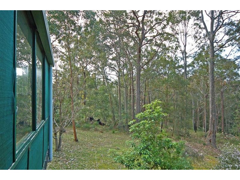 114 Northcove Road, Long Beach NSW 2536