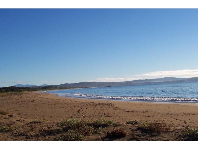 46 Yarrabee Drive, Catalina NSW 2536