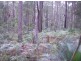 33 Kettle Road, Long Beach NSW 2536