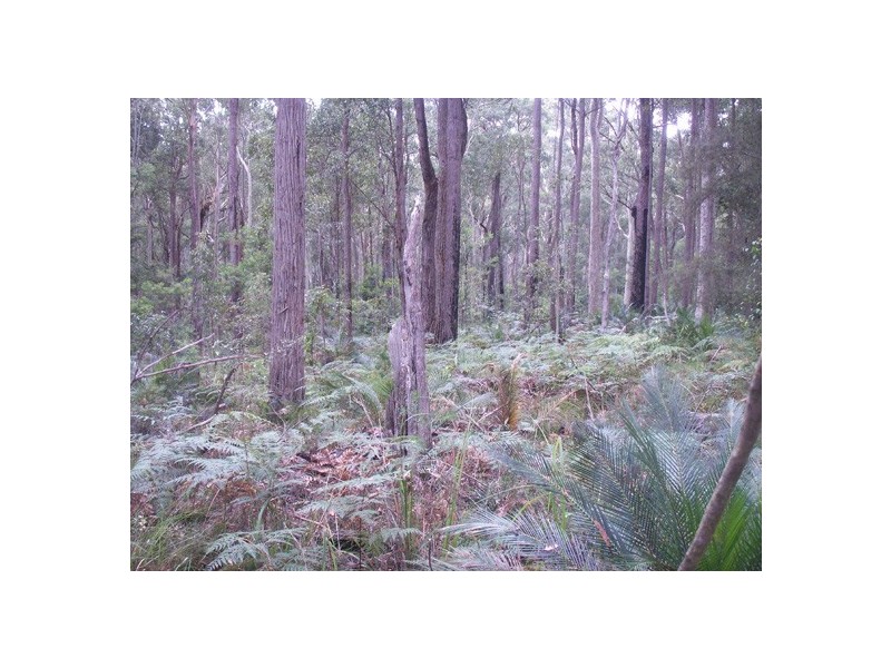 33 Kettle Road, Long Beach NSW 2536