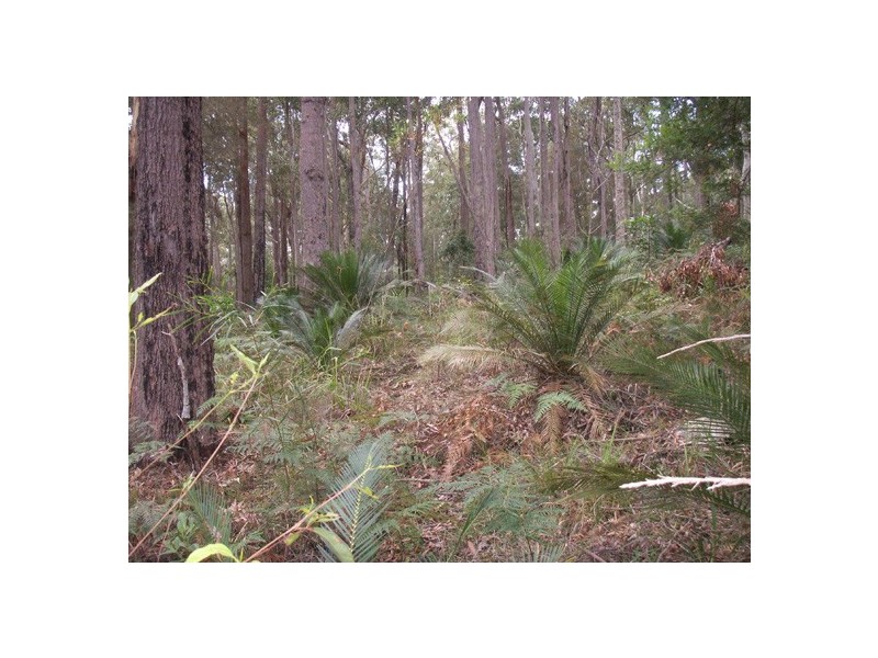 33 Kettle Road, Long Beach NSW 2536