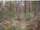 33 Kettle Road, Long Beach NSW 2536