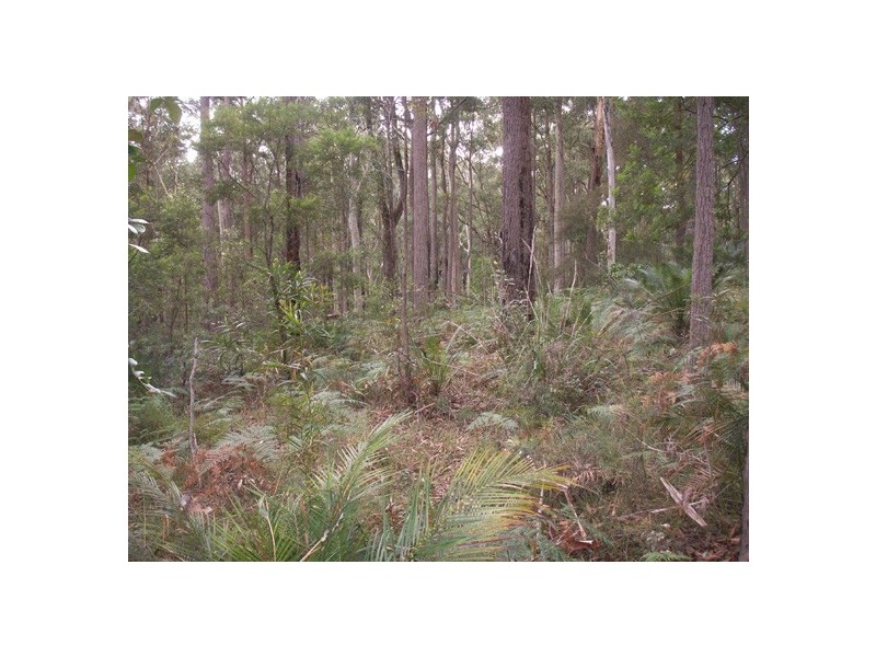 33 Kettle Road, Long Beach NSW 2536