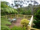 125 Country Club Drive, Catalina NSW 2536