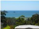 49 Ridge Street, Catalina NSW 2536