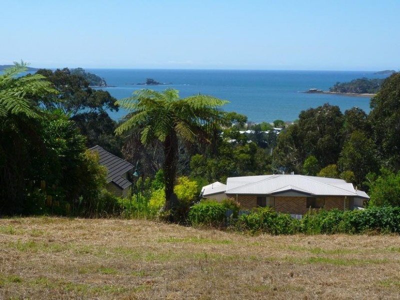 49 Ridge Street, Catalina NSW 2536