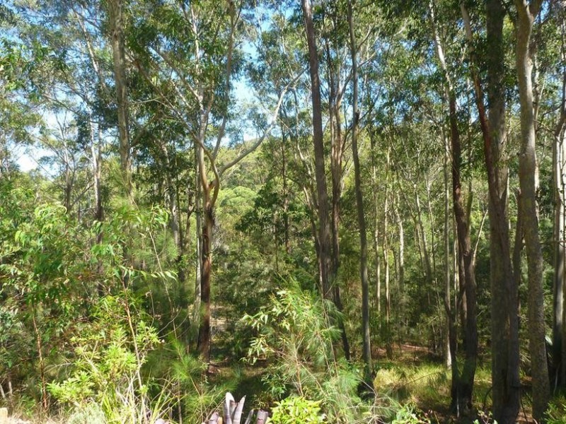 4 Barlings Drive, Tomakin NSW 2537