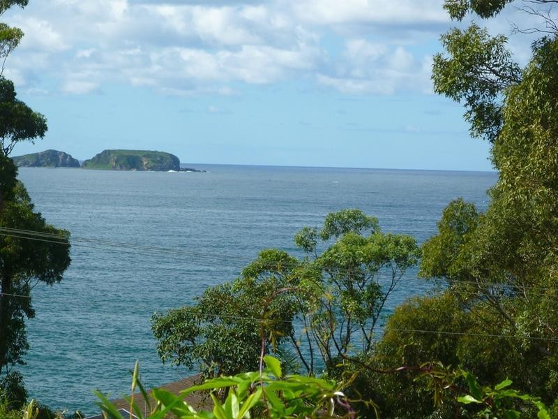 20 Burrawang Crescent, Sunshine Bay NSW 2536