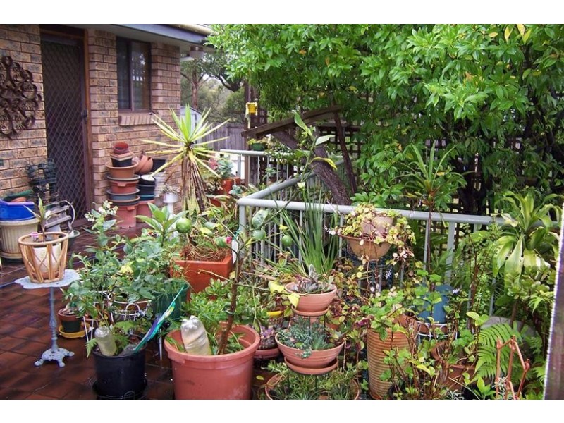 78 Heron Road, Catalina NSW 2536