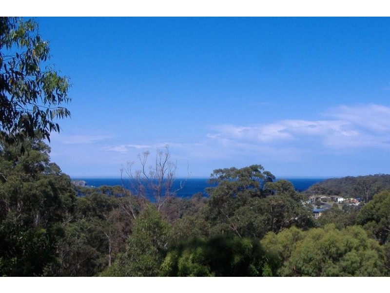 8 Figtree Close, Surf Beach NSW 2536
