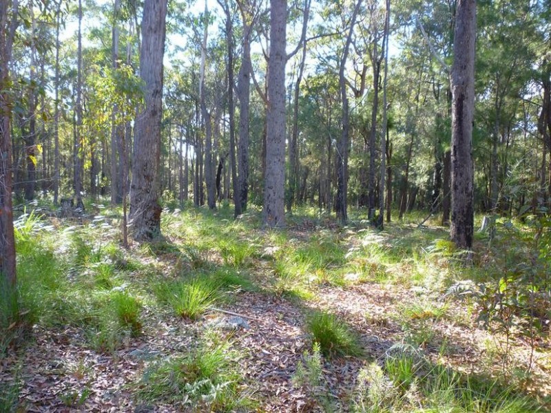 22 Norman Place, Bimbimbie NSW 2536