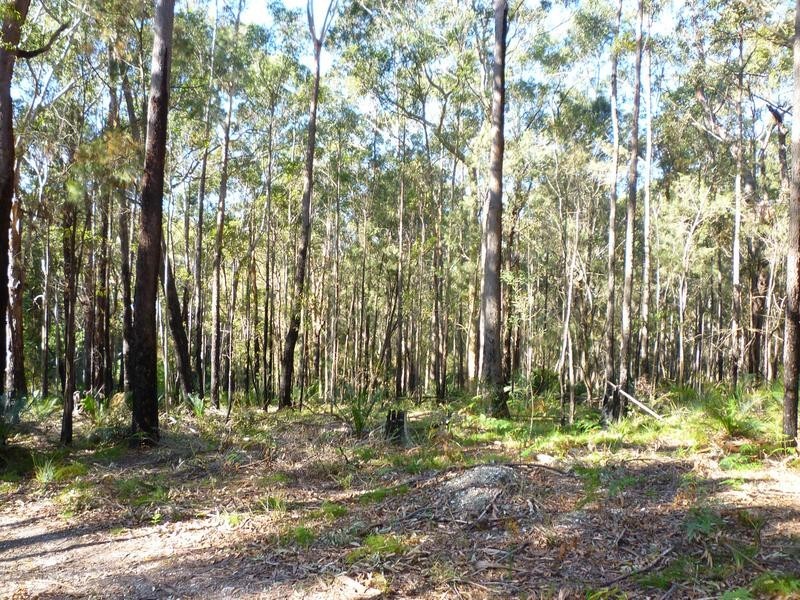 Lot 62 Northcove Road, Long Beach NSW 2536