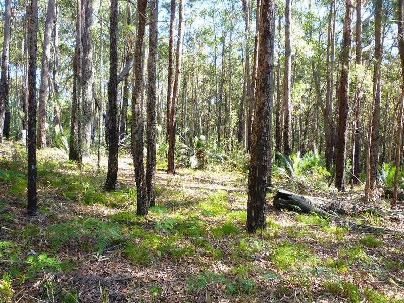 Lot 62 Northcove Road, Long Beach NSW 2536