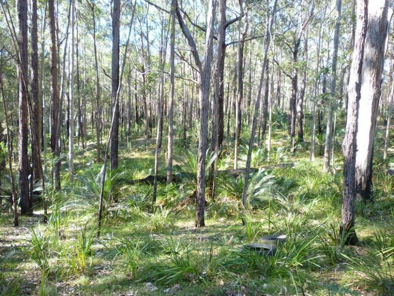 Lot 64 Northcove Road, Long Beach NSW 2536