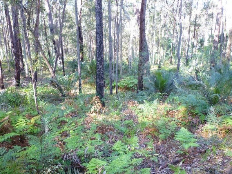 Lot 66 Northcove Road, Long Beach NSW 2536