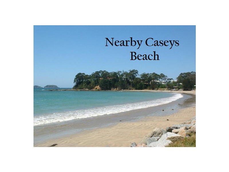 21 Luks Way, Batehaven NSW 2536