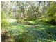 14 Barlings Drive, Tomakin NSW 2537
