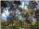 14 Barlings Drive, Tomakin NSW 2537