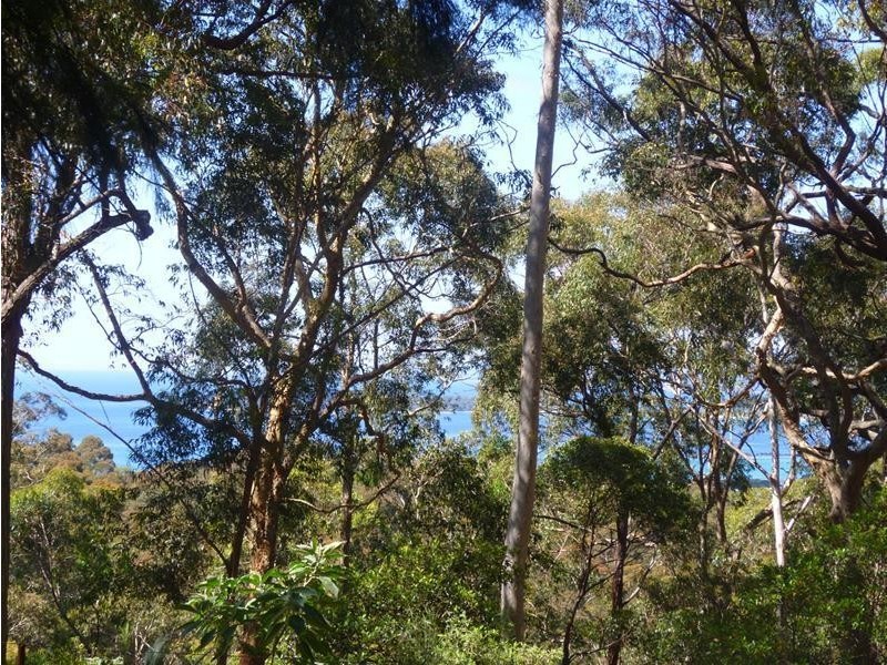 14 Barlings Drive, Tomakin NSW 2537