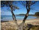 6/5 Edgewood Place, Denhams Beach NSW 2536