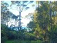 31 Lilli Pilli Road, Lilli Pilli NSW 2536