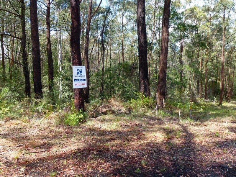 297 Cullendulla Drive, Long Beach NSW 2536