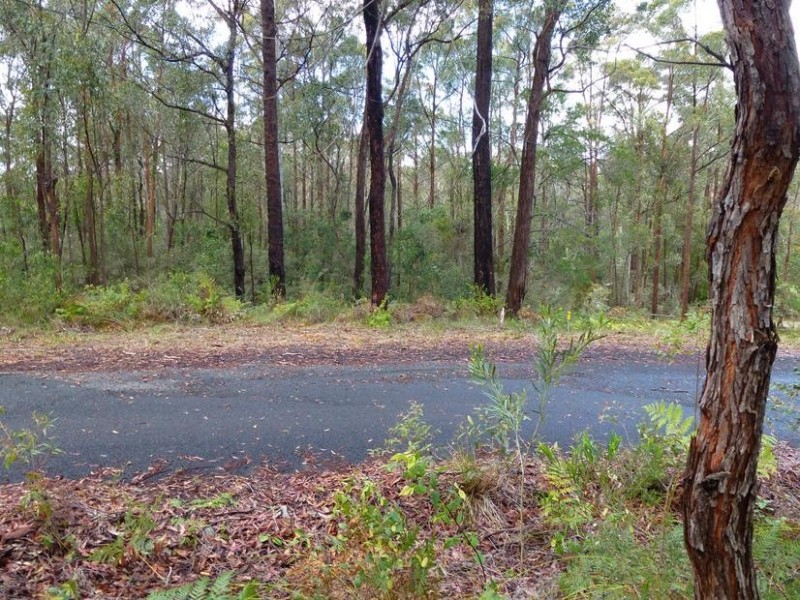 297 Cullendulla Drive, Long Beach NSW 2536