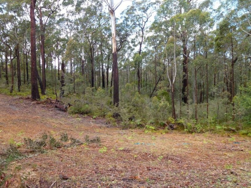 297 Cullendulla Drive, Long Beach NSW 2536