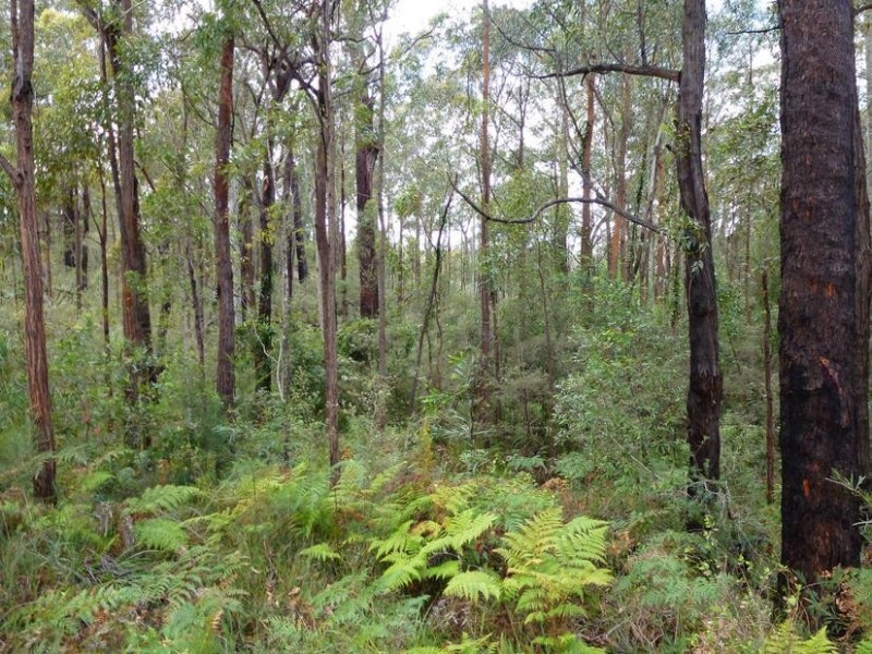 297 Cullendulla Drive, Long Beach NSW 2536