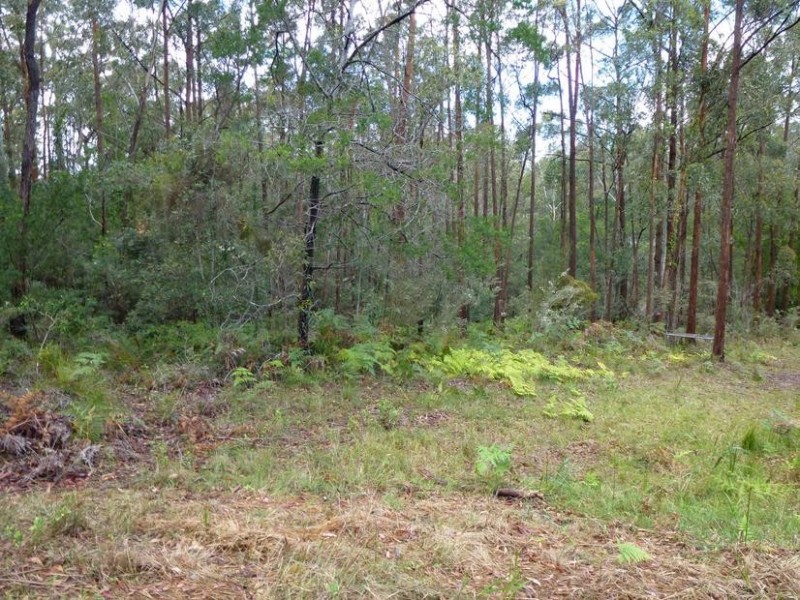 297 Cullendulla Drive, Long Beach NSW 2536