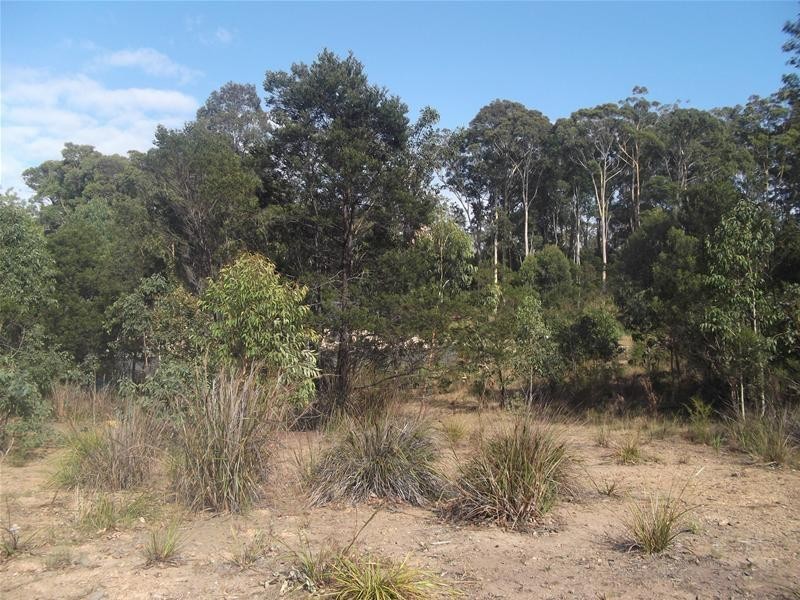 Lot 40, 93 Litchfield Crescent, Long Beach NSW 2536