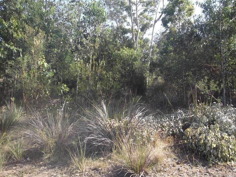 Lot 40, 93 Litchfield Crescent, Long Beach NSW 2536