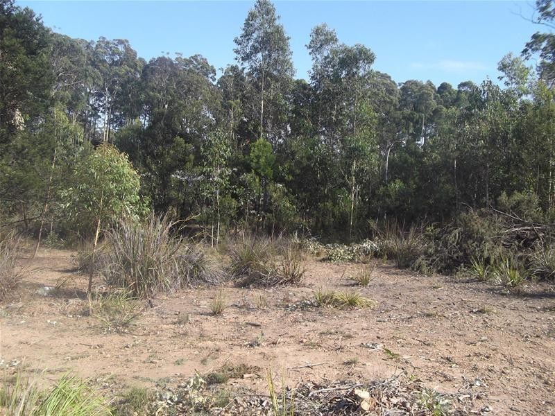 Lot 40, 93 Litchfield Crescent, Long Beach NSW 2536