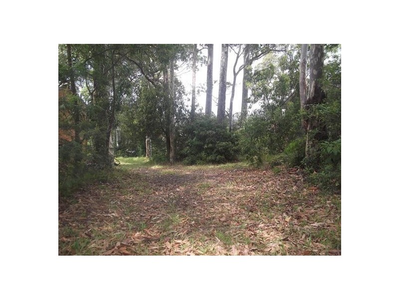 Lot 638, 115 Palana Street, Surfside NSW 2536