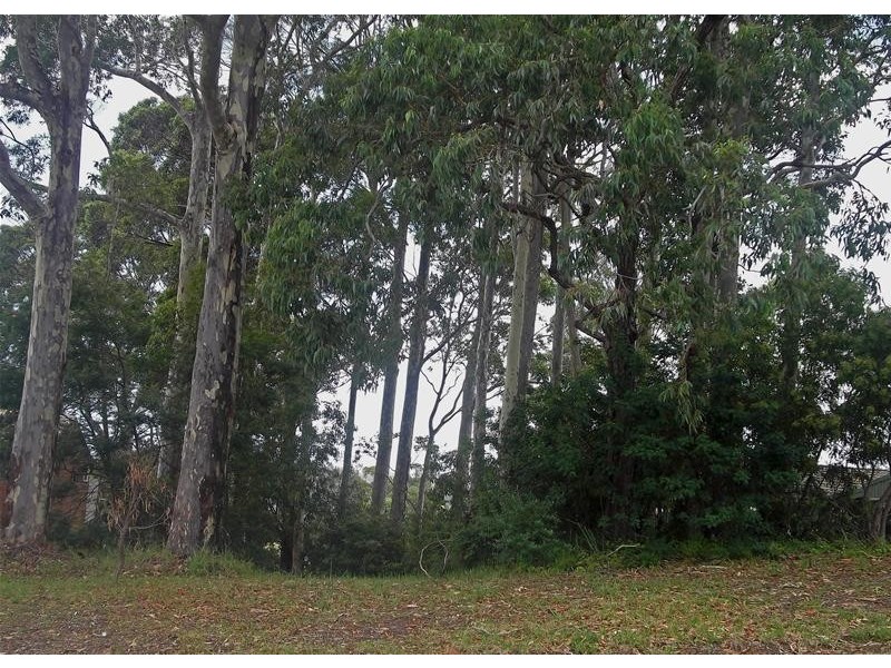 Lot 638, 115 Palana Street, Surfside NSW 2536