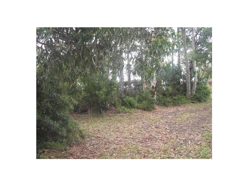 Lot 638, 115 Palana Street, Surfside NSW 2536