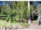 Lot 11, 49 Country Club Drive, Catalina NSW 2536