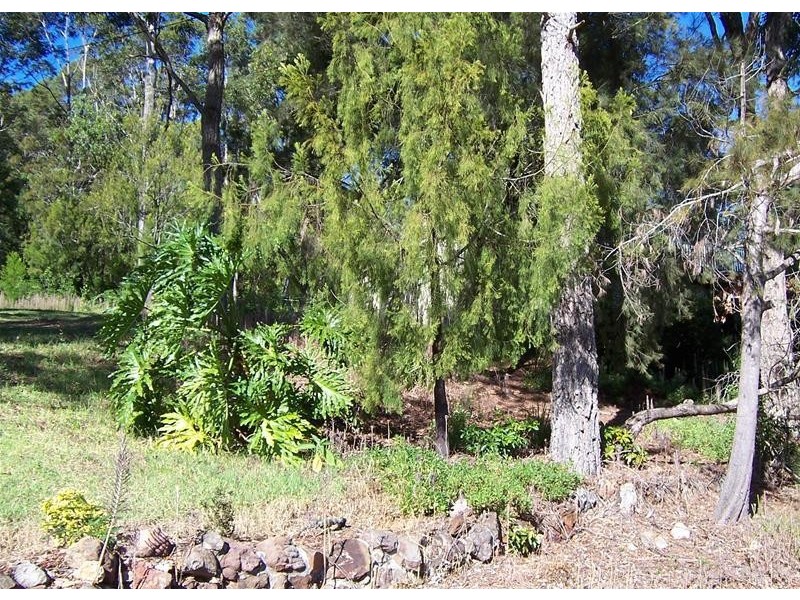 Lot 11, 49 Country Club Drive, Catalina NSW 2536
