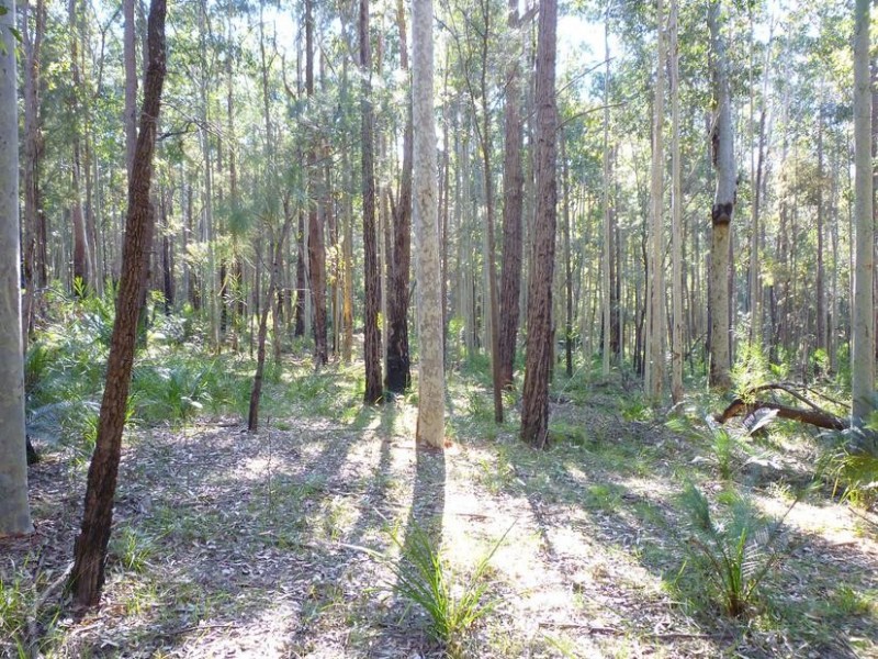 Lot 64 Northcove Road, Long Beach NSW 2536