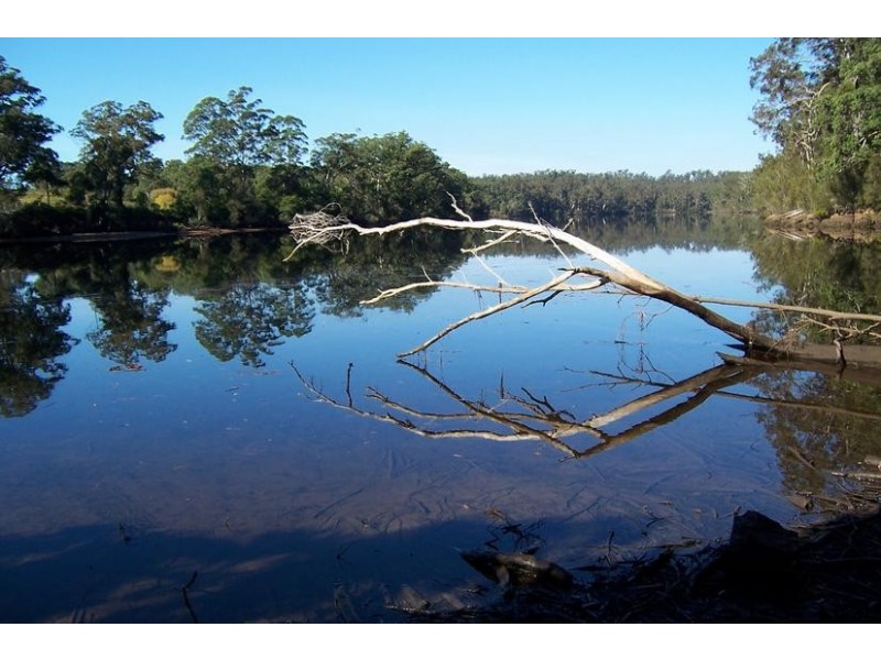 Lot 16 The River Road, Currowan NSW 2536