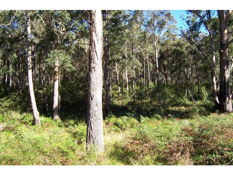 Lot 16 The River Road, Currowan NSW 2536
