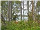 1/5 Lord Place, North Batemans Bay NSW 2536