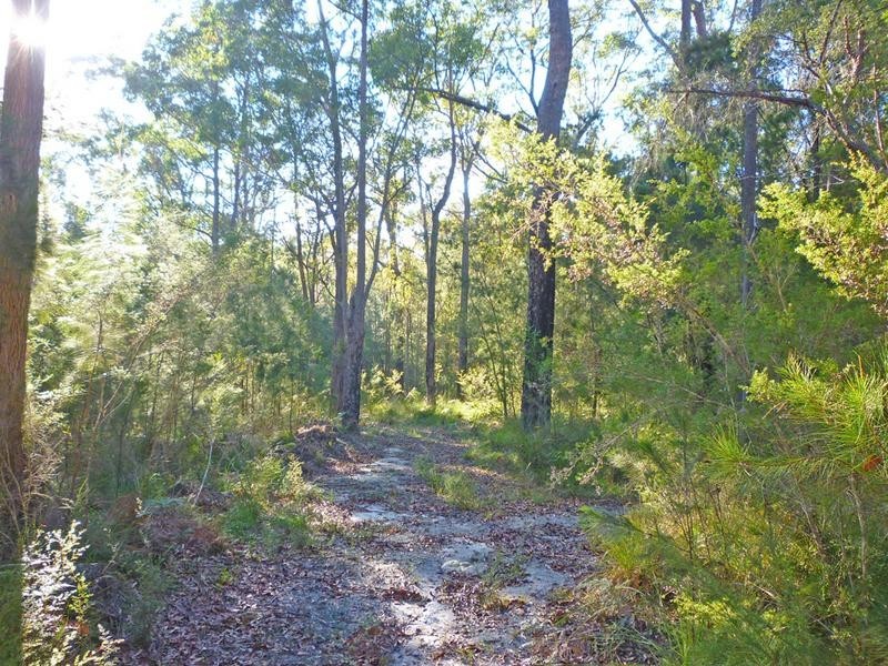 25 Old Mossy Point Road, Jeremadra NSW 2536