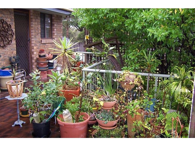 78 Heron Road, Catalina NSW 2536