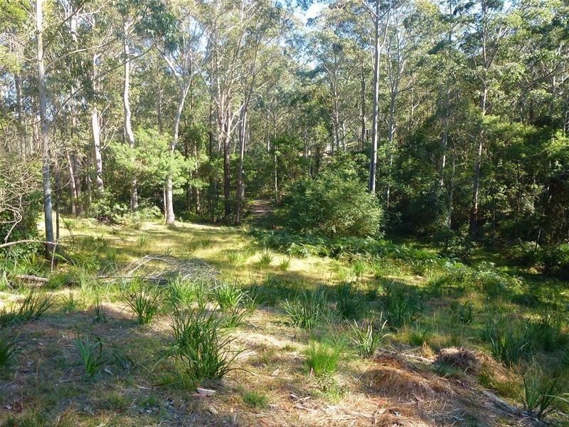 Lot 165, 12 Benandra Forest Place, Long Beach NSW 2536
