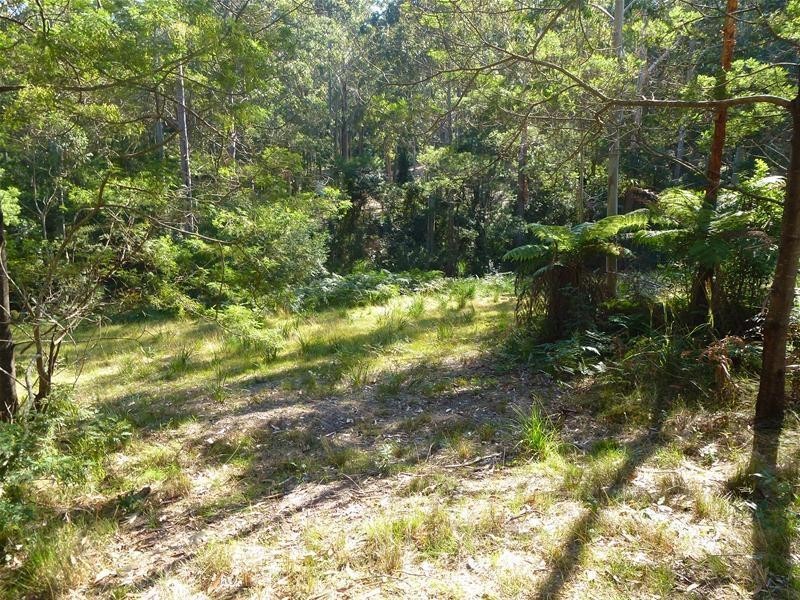Lot 165, 12 Benandra Forest Place, Long Beach NSW 2536