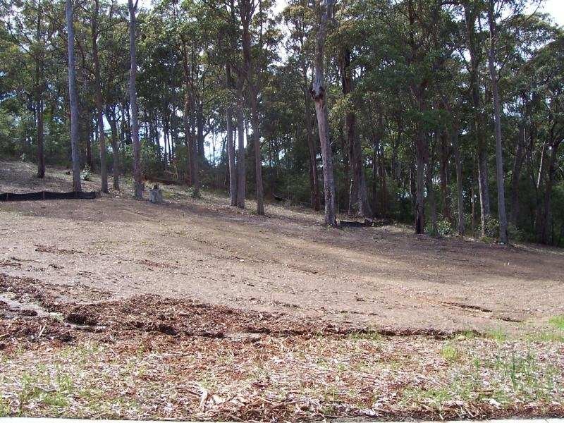 46 Carramar Drive, Lilli Pilli NSW 2536