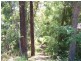 27 Long Beach Road, Long Beach NSW 2536