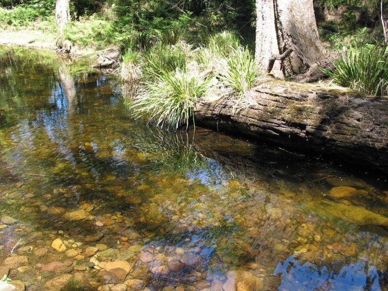 Lot 12 Kings Highway, Nelligen NSW 2536