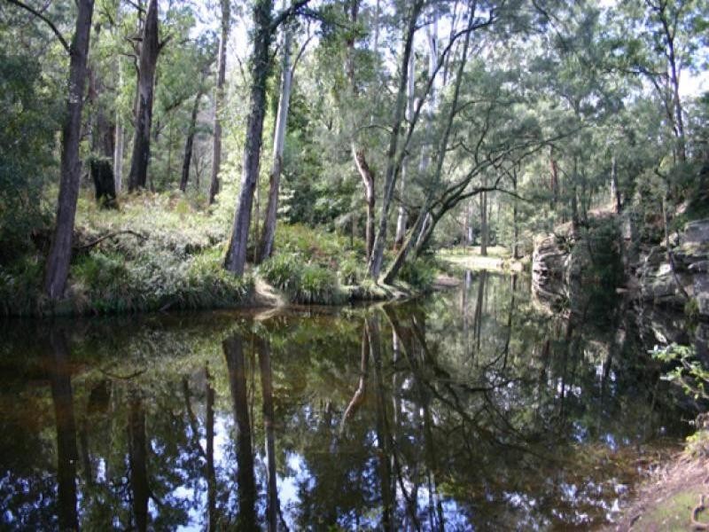 Lot 12 Kings Highway, Nelligen NSW 2536